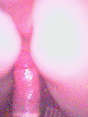 Photo 1, exposing butt fingered licked