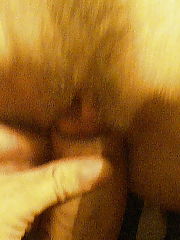 Photo 1, closeup hairy vagina