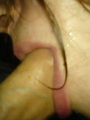 Photo 1, close blowing dick