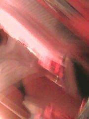 Photo 1, Porn Video