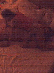 Photo 1, spy cam drilled