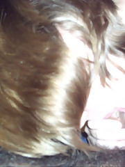 Photo 1, webcam shows toys