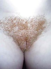 Photo 1, blond hairy milf
