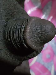 Photo 1, tiny black sissy