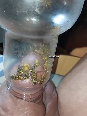 Photo 1, cbt bdsm dick