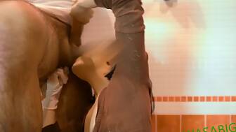 darkhaired blowjob
