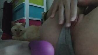 Porn Video