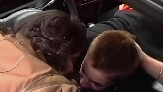 sucking dick car