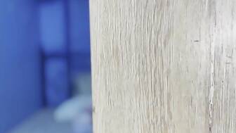 stepsister share drill