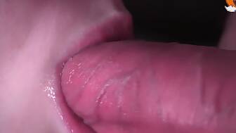 closeup milking blow wet